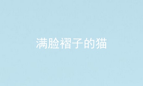 满脸褶子的猫