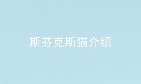 斯芬克斯猫介绍