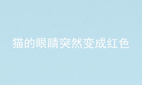 猫的眼睛突然变成红色
