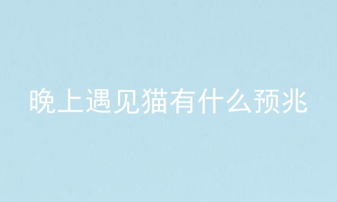 晚上遇见猫有什么预兆