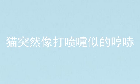 猫突然像打喷嚏似的哼哧
