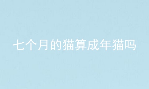 七个月的猫算成年猫吗