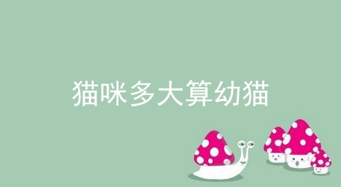 猫咪多大算幼猫