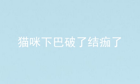 猫咪下巴破了结痂了