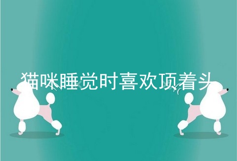 猫咪睡觉时喜欢顶着头