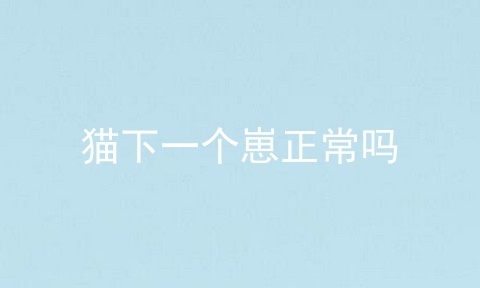 猫下一个崽正常吗