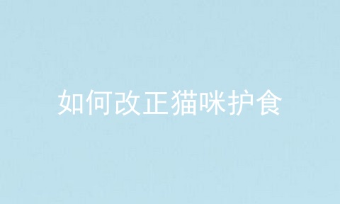 如何改正猫咪护食