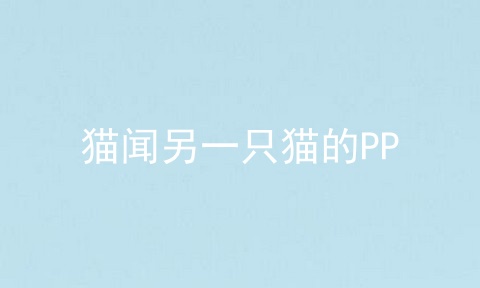 猫闻另一只猫的PP