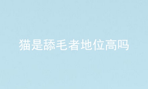猫是舔毛者地位高吗