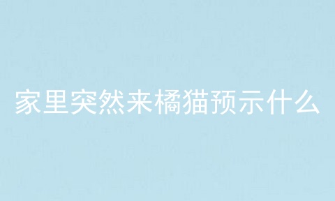 家里突然来橘猫预示什么