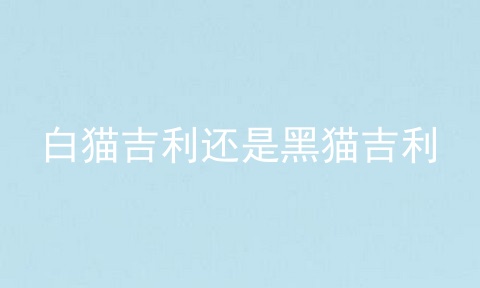 白猫吉利还是黑猫吉利