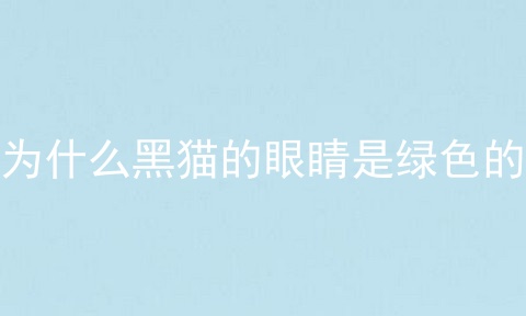 为什么黑猫的眼睛是绿色的