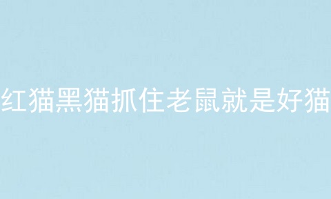 红猫黑猫抓住老鼠就是好猫