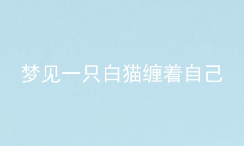 梦见一只白猫缠着自己