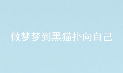 做梦梦到黑猫扑向自己