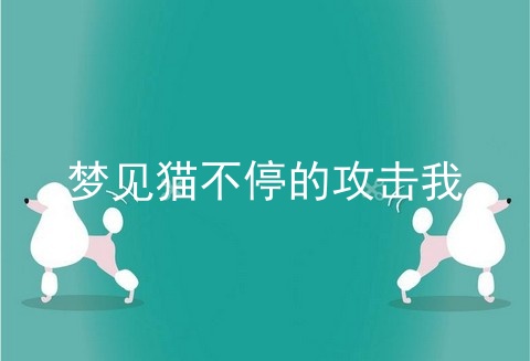 梦见猫不停的攻击我
