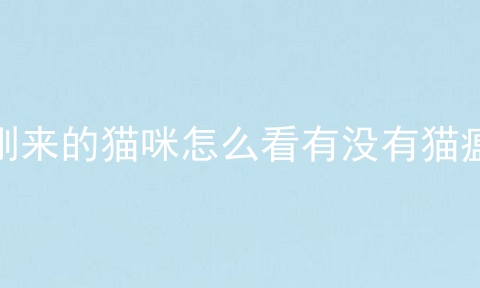 刚来的猫咪怎么看有没有猫瘟