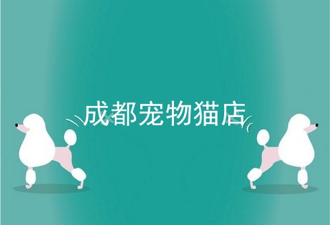 成都宠物猫店