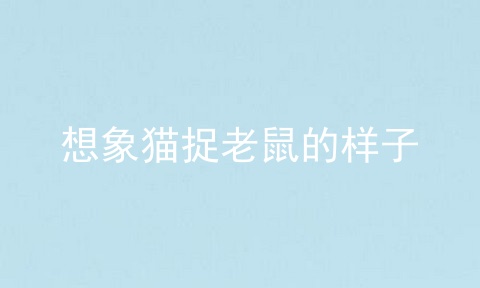 想象猫捉老鼠的样子