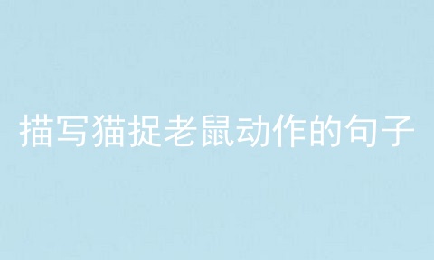 描写猫捉老鼠动作的句子