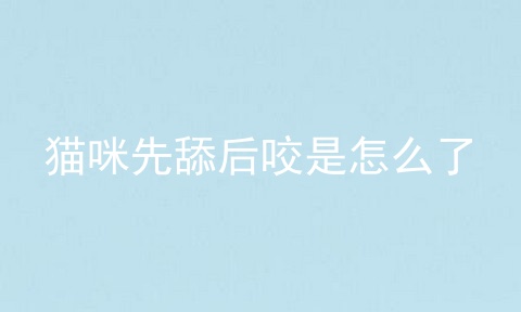 猫咪先舔后咬是怎么了