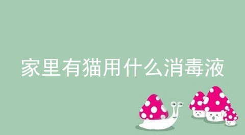 家里有猫用什么消毒液