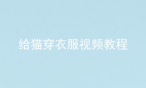 给猫穿衣服视频教程