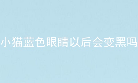 小猫蓝色眼睛以后会变黑吗
