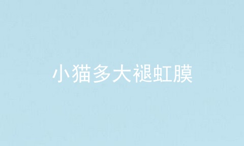 小猫多大褪虹膜