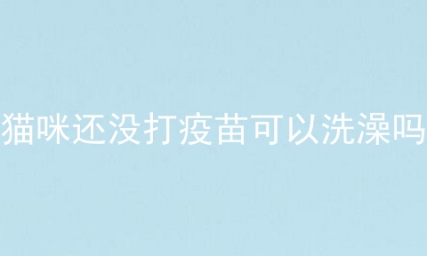 猫咪还没打疫苗可以洗澡吗