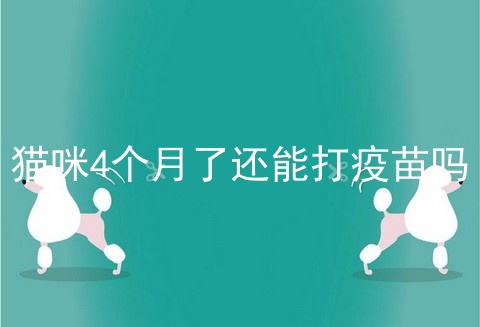 猫咪4个月了还能打疫苗吗