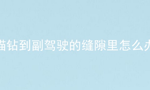 猫钻到副驾驶的缝隙里怎么办
