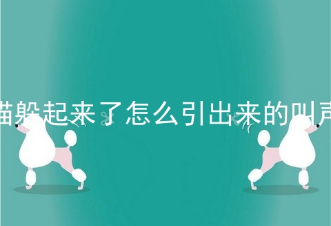 猫躲起来了怎么引出来的叫声