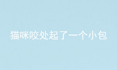 猫咪咬处起了一个小包