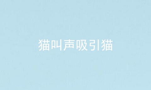 猫叫声吸引猫