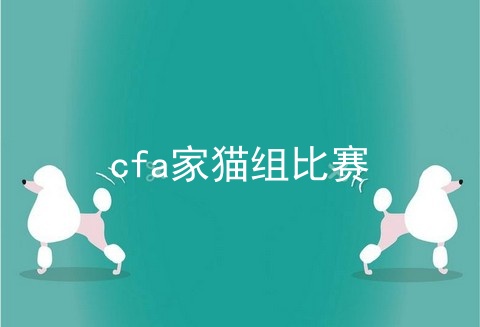 cfa家猫组比赛