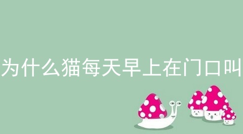 为什么猫每天早上在门口叫