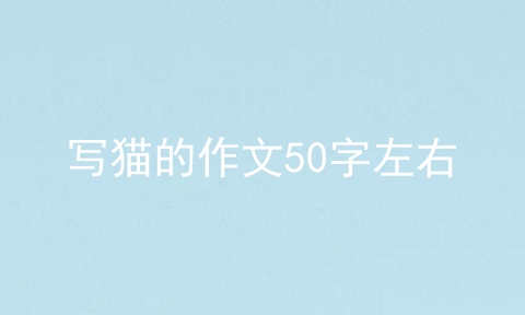 写猫的作文50字左右