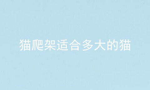 猫爬架适合多大的猫