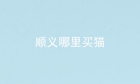 顺义哪里买猫