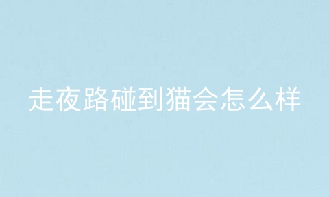 走夜路碰到猫会怎么样