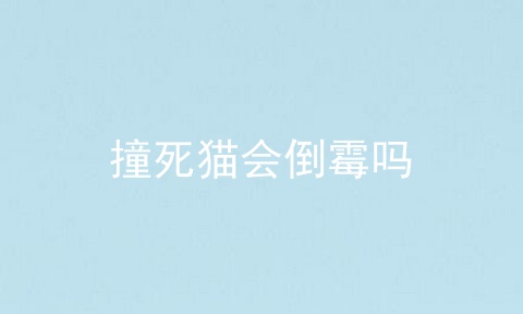 撞死猫会倒霉吗