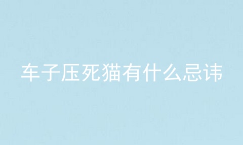 车子压死猫有什么忌讳