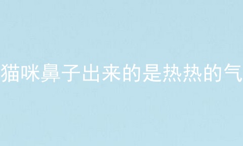 猫咪鼻子出来的是热热的气