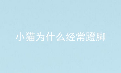 小猫为什么经常蹬脚