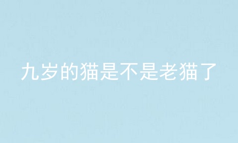 九岁的猫是不是老猫了