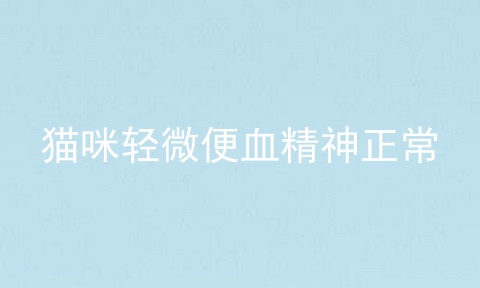 猫咪轻微便血精神正常
