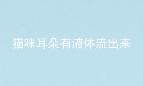 猫咪耳朵有液体流出来