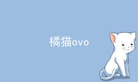 橘猫ovo
