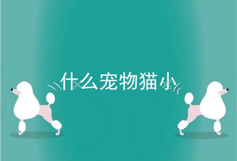 什么宠物猫小